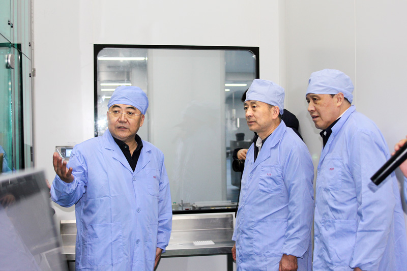 【江苏省人大常委会常务副主任、党组副书记樊金龙来吉贝尔药业调研】的配图